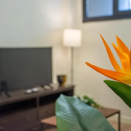 アパート Stylish & Modern 1 Bdr Taksim Living イスタンブール